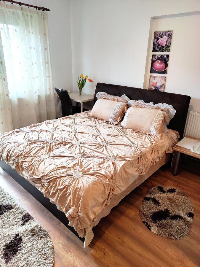 Apartament Casa De Vis Braszów Zewnętrze zdjęcie