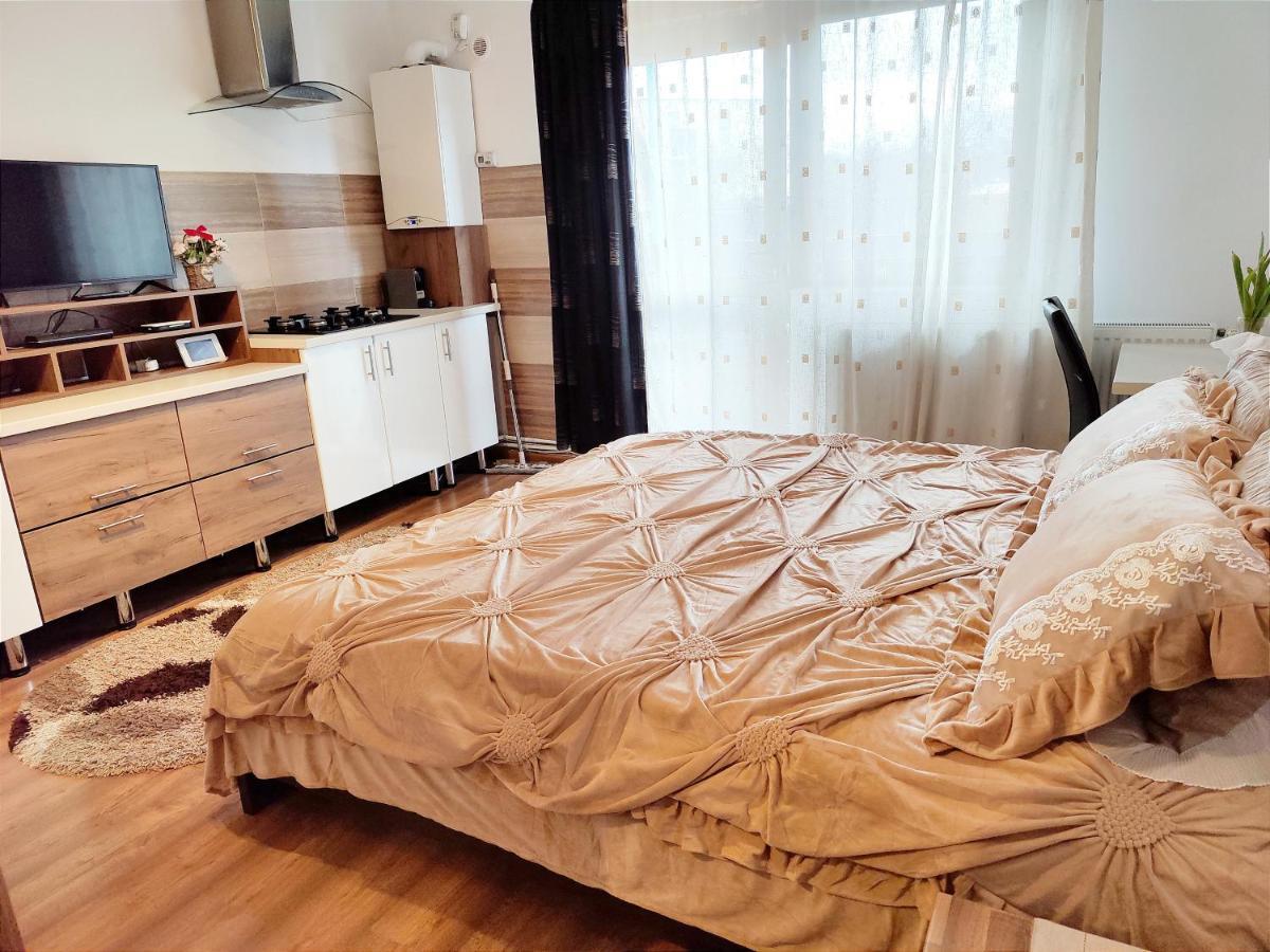 Apartament Casa De Vis Braszów Zewnętrze zdjęcie